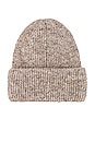 view 2 of 2 Eco Cuff Beanie in Taupe