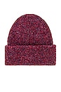 view 2 of 2 GORRO ECO CUFF in Raspberry