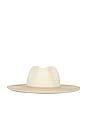 view 2 of 3 Colorblock Continental Hat in Natural & Tan