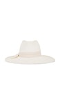 view 1 of 3 Michele Panama Hat in Bleach & Tan