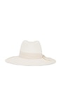 view 2 of 3 Michele Panama Hat in Bleach & Tan