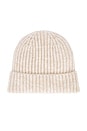 view 2 of 2 Key Beanie in Oat