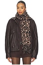 view 1 of 3 Leopard Scarf in Leopard