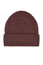 view 2 of 3 Epic Beanie in Espresso