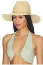 view 1 of 4 RAFFIA BRAID CONTINENTAL 페도라 햇 in Gold Wrap