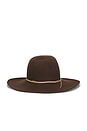 view 4 of 4 Mountain Cowgirl Hat in Chocolate