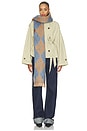 view 1 of 4 ÉCHARPE ARGYLE  in Brown & Blue