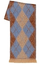 view 2 of 4 ÉCHARPE ARGYLE  in Brown & Blue
