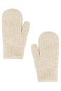view 1 of 2 Fleecey Lined Mitten in Oatmeal