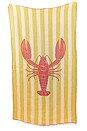 view 1 of 2 Novelty Towel in Lobster