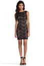 view 2 of 6 Lace Dress in Black/Suntan in Black & Suntan