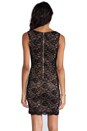 view 4 of 6 Lace Dress in Black/Suntan in Black & Suntan