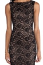view 5 of 6 Lace Dress in Black/Suntan in Black & Suntan