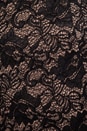 view 6 of 6 Lace Dress in Black/Suntan in Black & Suntan