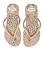 view 1 of 5 Slim Animals Sandal in Beige & Rose Gold