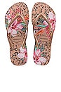 view 1 of 3 Slim Animal Floral Flip Flops in Crocus Rose