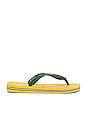 view 2 of 5 TONGS BRAZIL in Banana Yellow