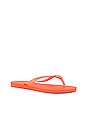 view 3 of 5 Slim Flip Flop in Coral Chic