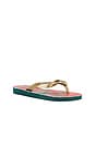 view 3 of 5 Farm Rio Red Florals Sandal in Pantanal Green