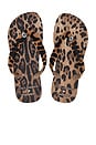 view 1 of 5 X Dolce & Gabbana Leopard Sandal in Rose Gold