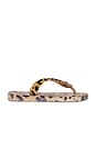 view 2 of 5 X Dolce & Gabbana Leopard Sandal in Rose Gold