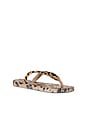 view 3 of 5 X Dolce & Gabbana Leopard Sandal in Rose Gold