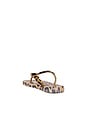 view 4 of 5 X Dolce & Gabbana Leopard Sandal in Rose Gold
