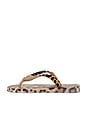 view 5 of 5 X Dolce & Gabbana Leopard Sandal in Rose Gold
