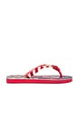 view 2 of 5 X Dolce & Gabbana Circus Sandal in Ruby Red