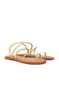 view 2 of 5 Una Pitanga Eur Sandal in Golden