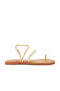 view 3 of 5 Una Pitanga Eur Sandal in Golden