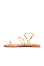 view 5 of 5 Una Pitanga Eur Sandal in Golden