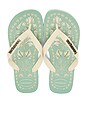 Sandales Havaianas Top Tropicalia Vibes Pour Femme – Couleur Pêche, Semelle En Caoutchouc, Confortables Et Durables