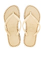 view 1 of 5 Slim Flatform Loop Slim Sandal in Golden