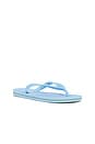 view 3 of 5 Brazil Logo Sandal in Blue Lavender & White