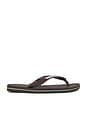 view 2 of 5 Brazil Logo Sandal in Dark Brown & White