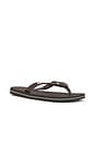 view 3 of 5 Brazil Logo Sandal in Dark Brown & White