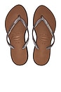view 1 of 5 Slim Point Sandal in Dark Brown