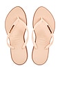 view 1 of 5 Slim Point Sandal in Crocus Rose