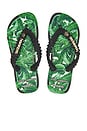 view 1 of 5 X Dolce & Gabbana Banano Sandal in Black