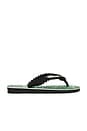view 2 of 5 X Dolce & Gabbana Banano Sandal in Black