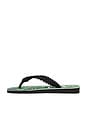 view 5 of 5 X Dolce & Gabbana Banano Sandal in Black