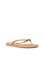 view 3 of 5 Slim Logo Metallic Sandal in Rose Gold