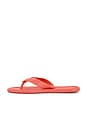 view 5 of 5 SANDALIA PUFFED UP in Tropical Coral