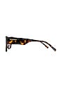 view 3 of 3 MANHATTAN サングラス in Carey Rosewood
