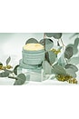 view 3 of 3 Eucalyptus Shea Body Butter in 