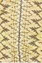view 6 of 6 TOP DOS-NU SCARF in Yellow Knit
