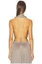 view 3 of 4 TOP DOS-NU SILK TULLE in Taupe
