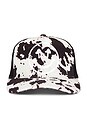 view 1 of 3 Two Tone Hat in Cow