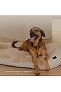 view 11 of 11 Infrared PEMF Small Pet Bed in 